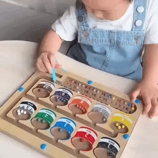 Wooden Magnet Counting Color Maze